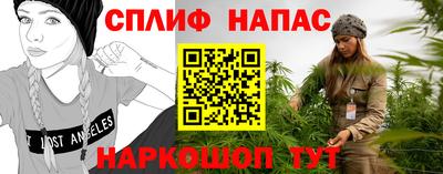 мдпв Можга