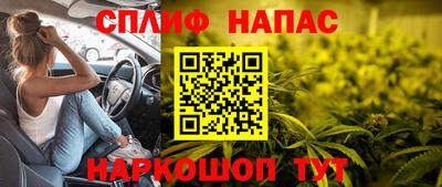 мдпв Можга