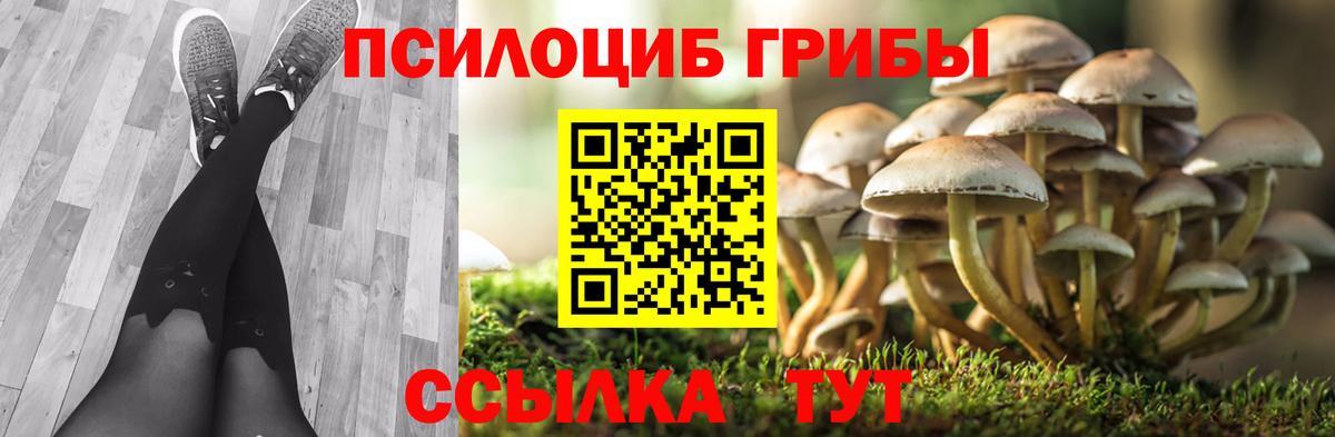 Сорочинск  Псилоцибиновые грибы MAGIC MUSHROOMS  Вход с VPN  Псилоцибиновые грибы GOLDEN TEACHER 